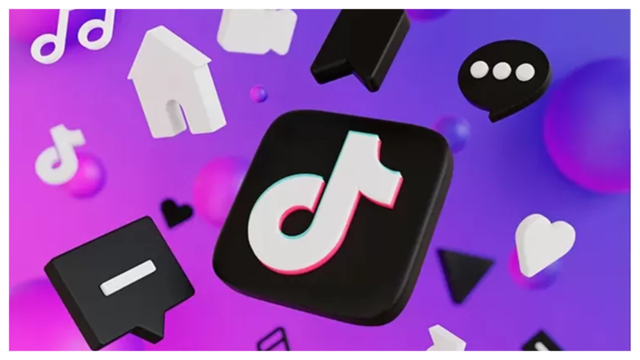 apa itu tiktok go