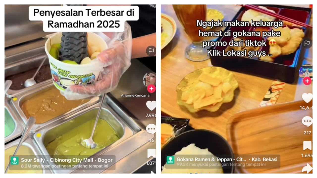 apa itu tiktok go